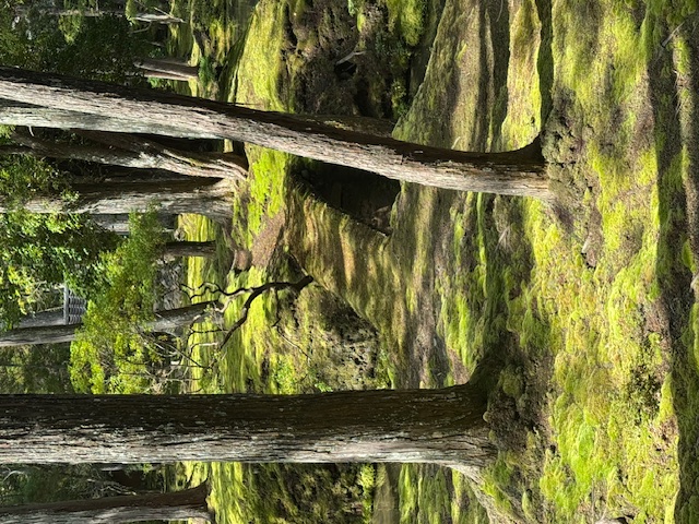 Zen.nl, Zen, meditatie, leren mediteren, foto